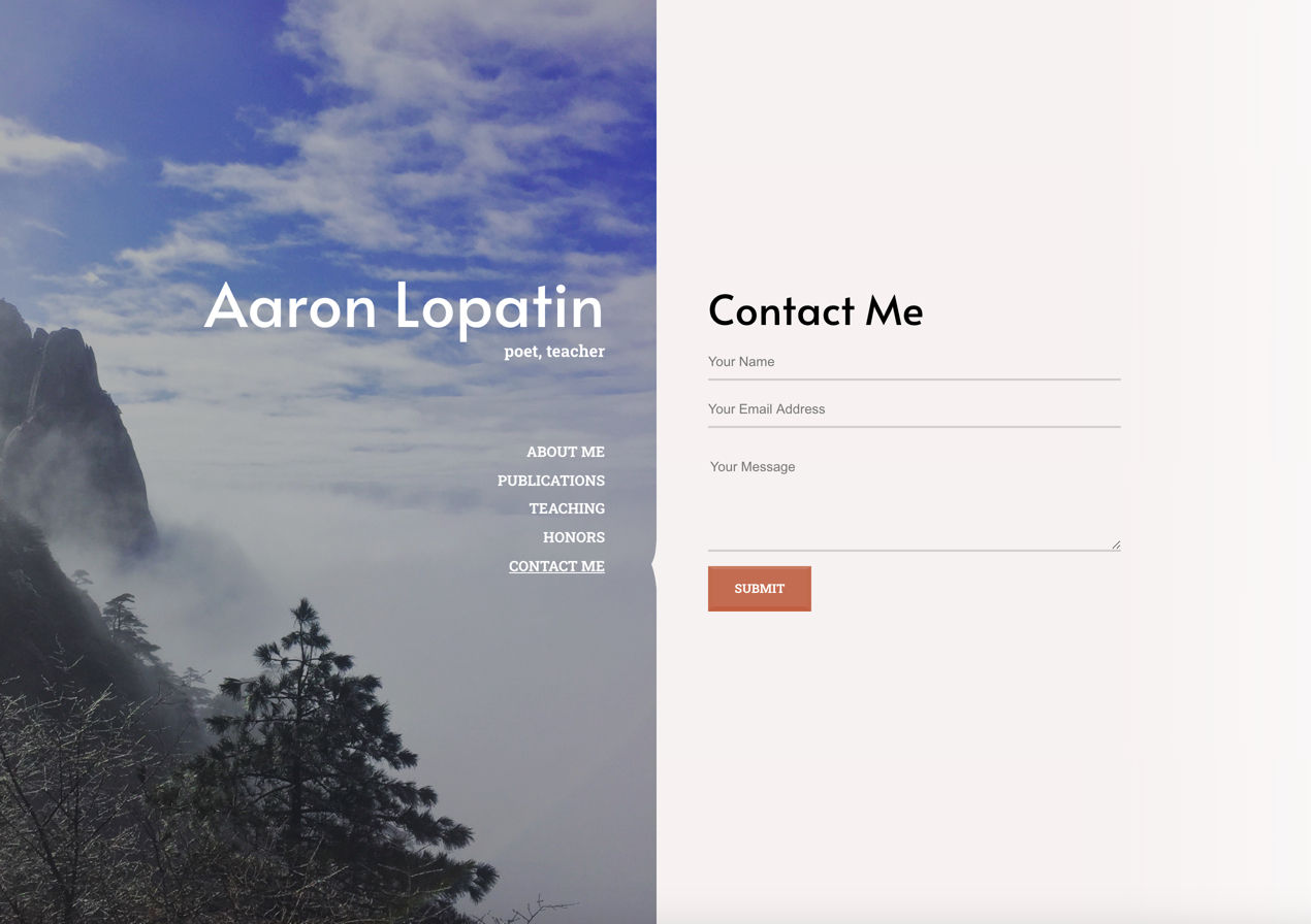 Aaron Lopatin's Professional Portfolio